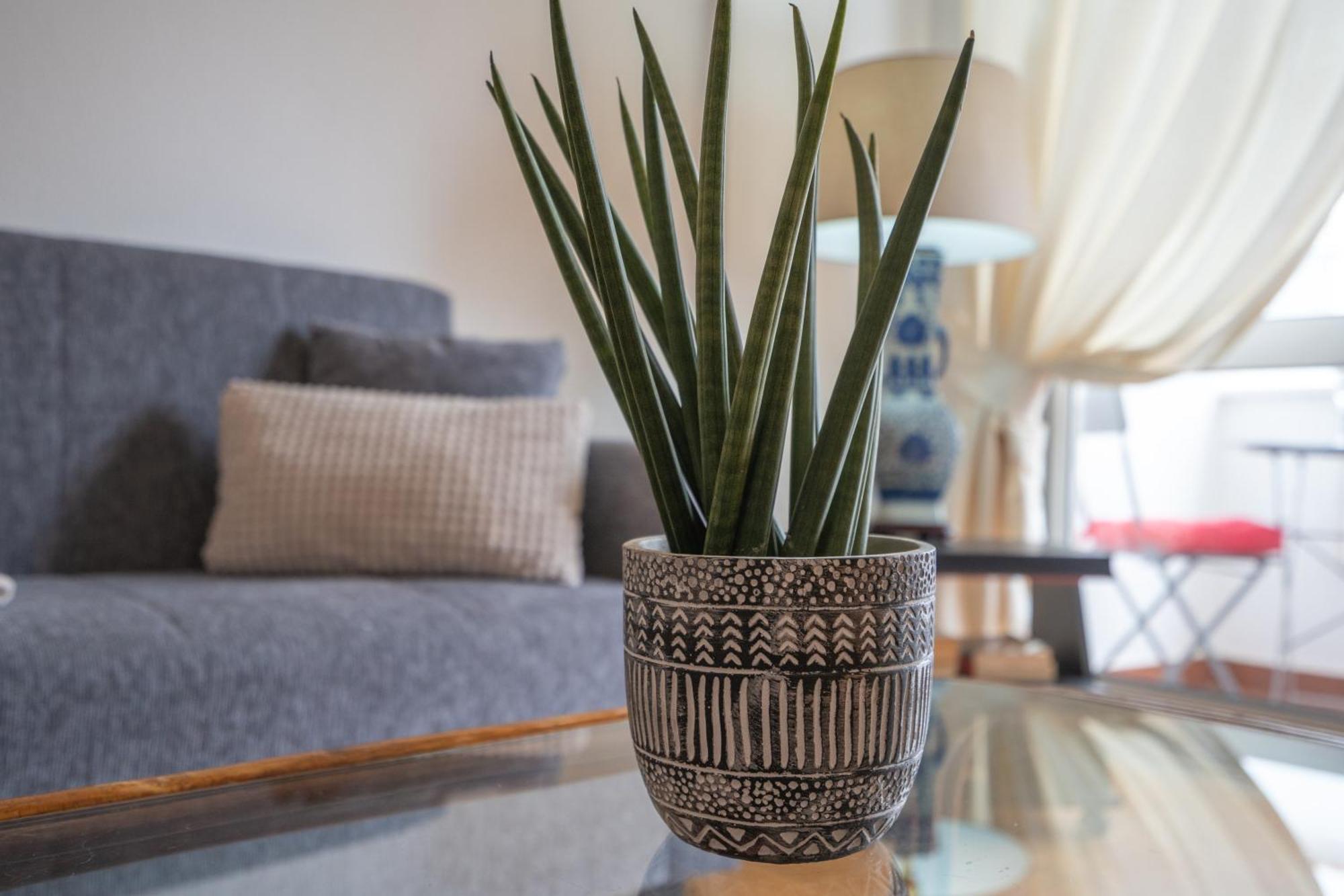 Apartamento Escadinhas Lagos Extérieur photo